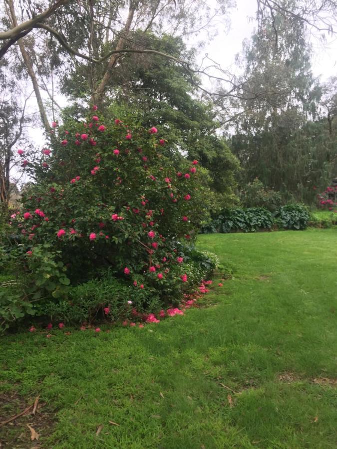 Sherwood Park Bed And Breakfast Somerville Екстер'єр фото