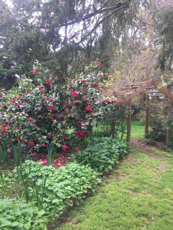Sherwood Park Bed And Breakfast Somerville Екстер'єр фото