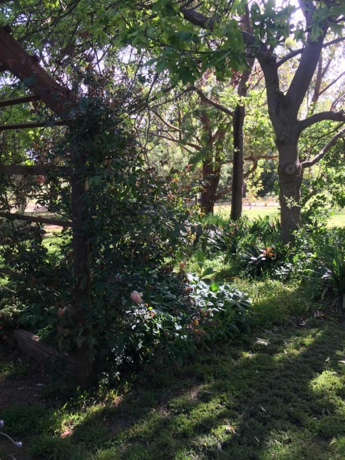 Sherwood Park Bed And Breakfast Somerville Екстер'єр фото
